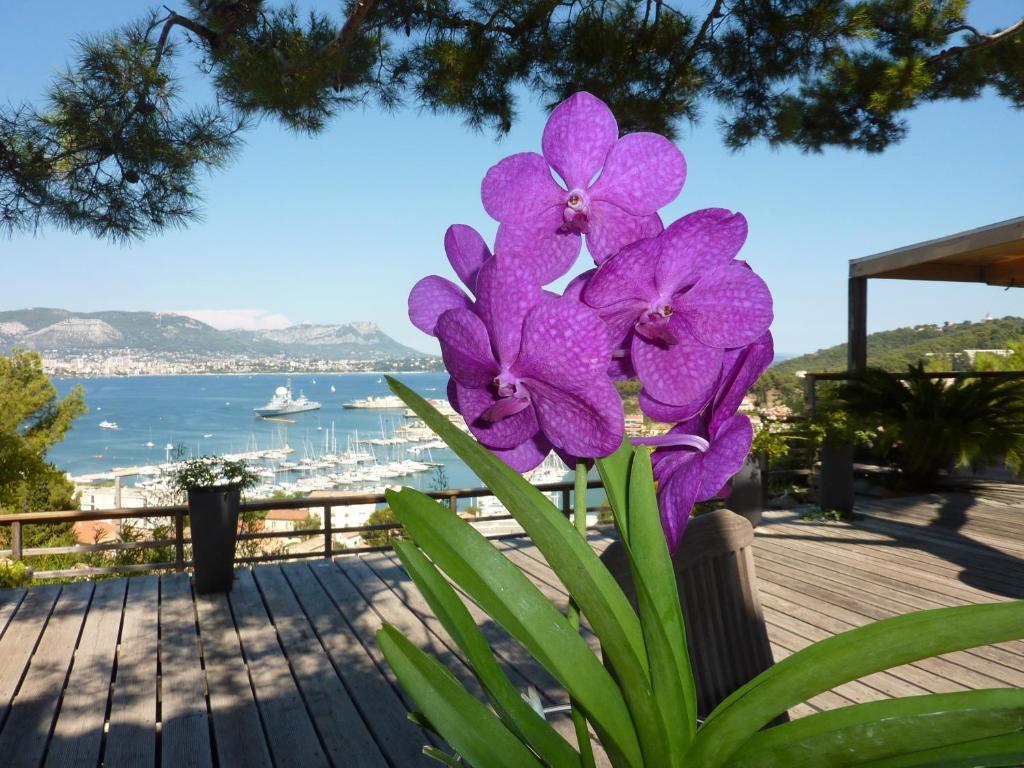 Home6 Saint-Mandrier-sur-Mer Dış mekan fotoğraf